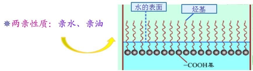 <a href='http://m.fpt57.com/product/product-0001,0011,0018.shtml' class='keys' title='點(diǎn)擊查看關(guān)于潤濕劑的相關(guān)信息' target='_blank'>潤濕劑</a>